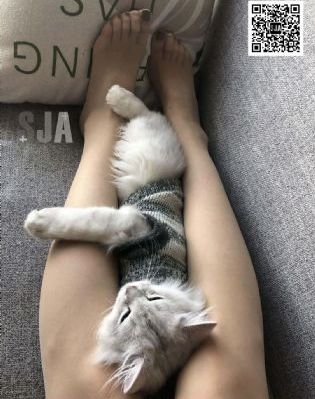 制服师生在线_国产剧电视剧在线观看